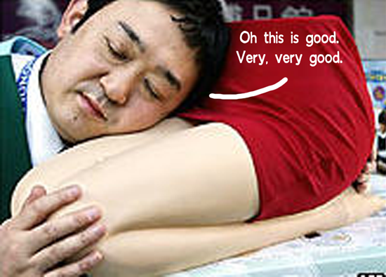 Funny-Lap-Pillow-01.png