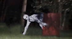 Top 10 Most Mysterious Creatures Found in 2025