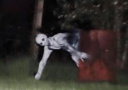 Top 10 Most Mysterious Creatures Found in 2025