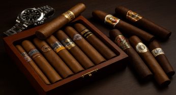 Top 10 Luxury Premium Cigar Popular Brands in the World, Rare Cigars Collection
